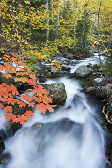 USA, North America, Maine