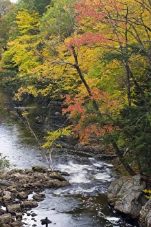 Images Dated 2nd October 2009: USA, North America, Maine