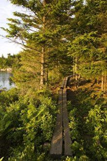 Images Dated 18th November 2012: USA, North America, Maine