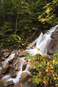 USA, North America, Maine