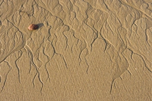 Images Dated 19th November 2012: USA, North America, Maine