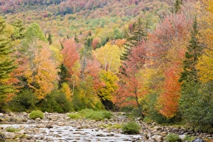 Images Dated 2nd October 2009: USA, North America, Maine