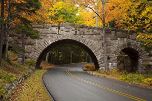 Maine Prints: USA; North America, Maine; Acadia National Park; Carriage road in Acadia NP
