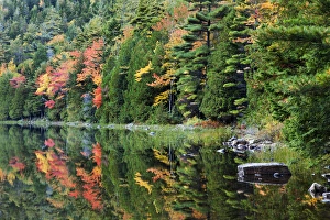 Maine Prints: USA; North America, Maine; Acadia National Park; Fall reflections at Bubble Pond