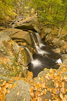 Images Dated 15th October 2009: USA, North America, Massachusetts