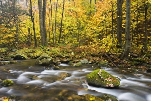 Images Dated 18th November 2012: USA, North America, Massachusetts