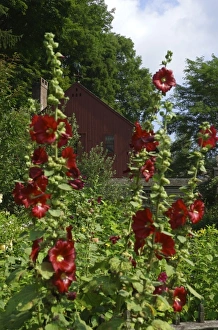 Images Dated 30th July 2007: USA, North America, Massachusetts