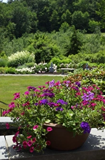 Images Dated 15th June 2007: USA, North America, Massachusetts