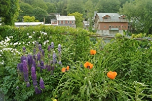 Images Dated 15th June 2007: USA, North America, Massachusetts