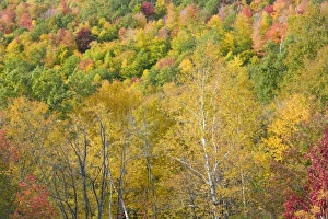 Images Dated 8th October 2009: USA, North America, Massachusetts