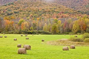 USA, North America, Massachusetts