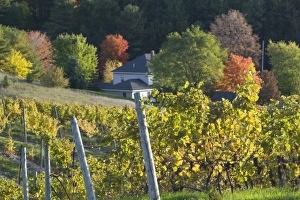 Images Dated 10th October 2006: USA, North America, Michigan