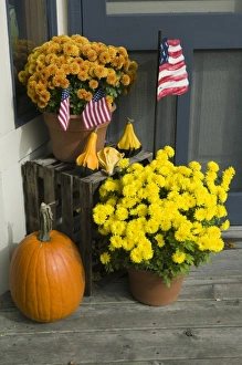 Images Dated 10th October 2006: USA, North America, Michigan