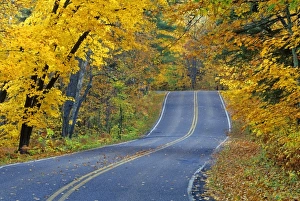 USA, North America, Minnesota