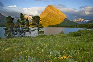 Images Dated 10th July 2009: USA, North America, Montana