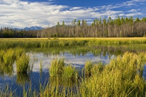 Images Dated 12th August 2008: USA, North America, Montana
