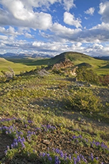 Images Dated 15th June 2011: USA, North America, Montana