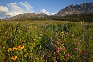 Images Dated 10th July 2010: USA, North America, Montana