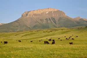 Images Dated 3rd June 2007: USA, North America, Montana