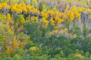 USA, North America, Montana