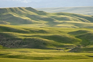 Images Dated 5th June 2008: USA, North America, Montana