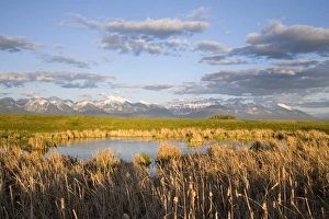 Images Dated 5th May 2007: USA, North America, Montana