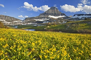 Images Dated 10th July 2009: USA, North America, Montana