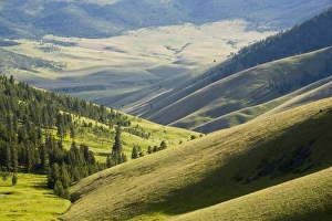 Images Dated 26th June 2008: USA, North America, Montana