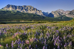 Images Dated 29th January 2010: USA, North America, Montana