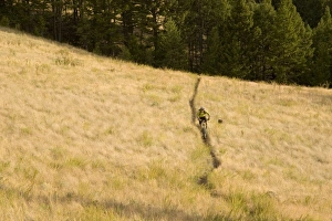 USA, North America, Montana