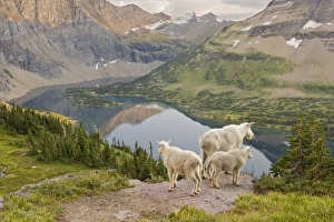 Images Dated 31st August 2009: USA, North America, Montana