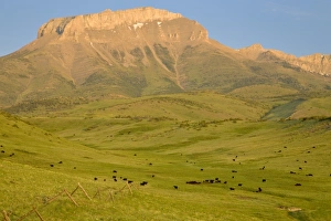 Images Dated 3rd June 2007: USA, North America, Montana