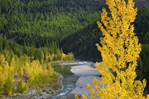 Images Dated 1st October 2009: USA, North America, Montana