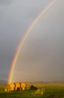 Images Dated 5th June 2008: USA, North America, Montana