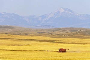 USA, North America, Montana