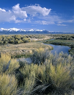 Images Dated 4th August 2010: USA, North America, Nevada