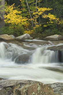 Images Dated 12th October 2005: USA, North America, New Hampshire
