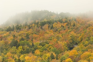 Images Dated 9th October 2005: USA, North America, New Hampshire