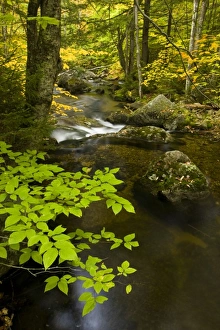 USA, North America, New Hampshire