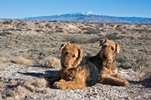 Images Dated 16th December 2010: USA, North America, New Mexico