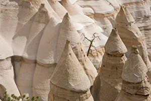 Images Dated 6th May 2007: USA, North America, New Mexico