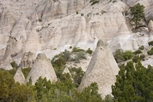 Images Dated 6th May 2007: USA, North America, New Mexico