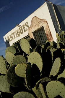 Images Dated 11th December 2009: USA, North America, New Mexico