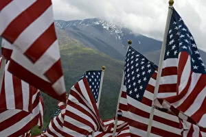 USA, North America, New Mexico, Questa, Flag Memorial Honoring Americas Veterans
