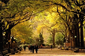 Images Dated 13th May 2011: USA, North America, New York