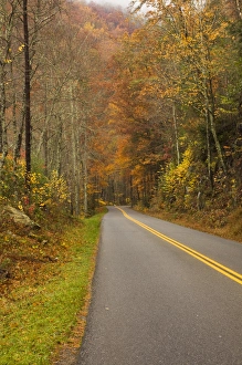 Images Dated 1st November 2009: USA, North America, North Carolina, Great Smoky Mountain NP. Road through the Smokies