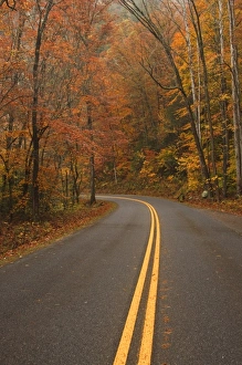 Images Dated 1st November 2009: USA, North America, North Carolina