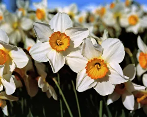 USA, North America, Oregon