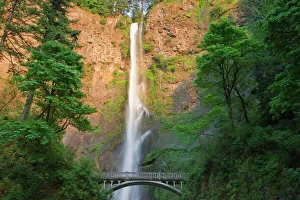 Multnomah Falls Prints: USA, North America, Oregon
