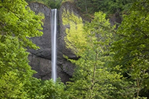 Images Dated 31st May 2009: USA, North America, Oregon
